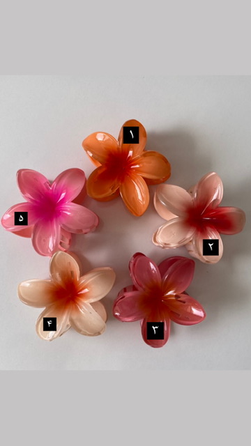 کلیپس پلومریا