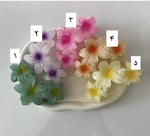 کلیپس پلومریا بزرگ