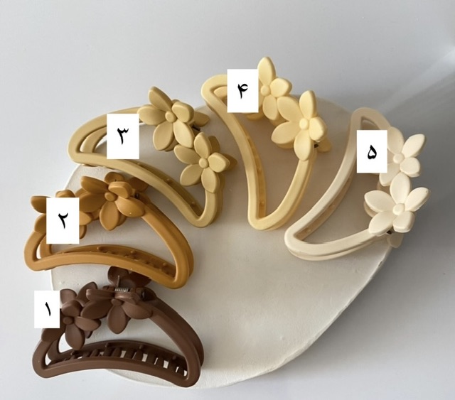 کلیپس دوگل‌