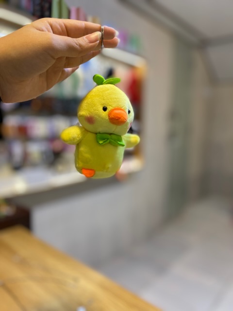 چارم/آویز جوجه و اواکادو